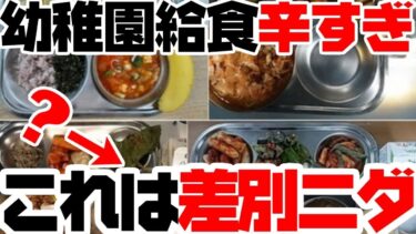 韓国幼稚園で辛い食事が提供され、「人権侵害」「差別」扱いされる【ニュース】【ゆっくり解説】