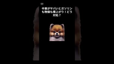 日本の石油危機　#shorts  #国際情勢 #世界ニュース #税制解説 #VOICEVOX #ずんだもん #ショート動画 #経済ニュース #わかりやすい解説