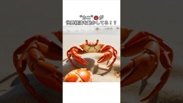 “カニ”が世界経済を動かしてる！？🦀💰#shorts  #雑学 #トリビア