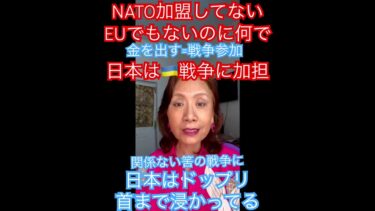 日本は参加どころか首まで浸かってる！#ロシアウクライナ戦争#自民党#血税