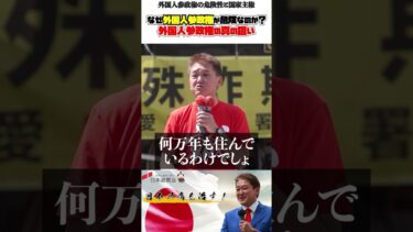 外国人参政権の危険性と国家主権 #外国人参政権 #国家主権 #移民問題 #日本の政治 #民主主義