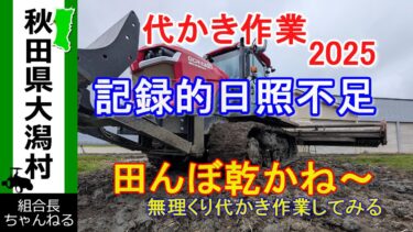 【代かき作業　2025】日照不足　異常気象　無理くり代かき　苗も軟弱　田んぼ柔らかい　明日から東京出張