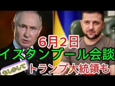 5/30(金)#世界のニュース #ロシアウクライナ戦争  #イスタンブール会談 #６/2開催か #米西海岸クジラ #オランダハリボーに薬物成分
