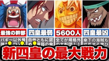 【ワンピース】新四皇の最大戦力！ぶっ壊れた軍事力を徹底解説！【ゆっくり解説】
