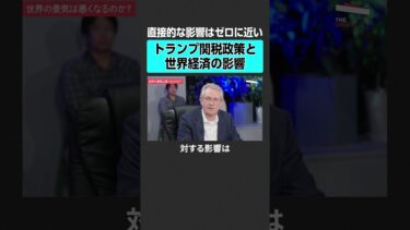 【トランプ政権】世界経済への影響は？　#theupdate #トランプ #アメリカ #消費税減税  #減税 #物価高  #石破政権  #半導体 #ai