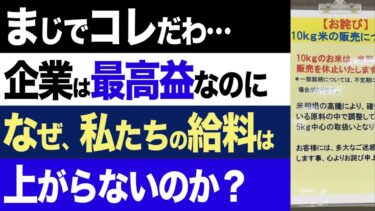 【2chニュース】真相…長引く物価高、給料が上がらない原因「強欲インフレ」の闇【時事ゆっくり】