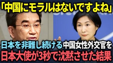 【海外の反応】「弱小国の日本が私たちに指図するな！」中国の外交官の失礼な発言を日本大使が速攻で撤回させた展開