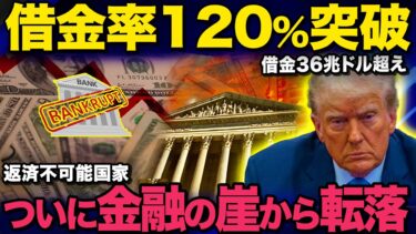 【ゆっくり解説】アメリカ経済の命綱が切れ36兆ドルの爆弾が直撃中！預金封鎖が目前でトランプが選ぶ“最後のカード”が恐ろしすぎる【海外の反応】
