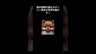 支配者の変遷　#shorts  #国際情勢 #世界ニュース #税制解説 #VOICEVOX #ずんだもん #ショート動画 #経済ニュース #わかりやすい解説