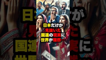 【海外の反応】日本だけが見抜いた国連の現実に世界が騒然…