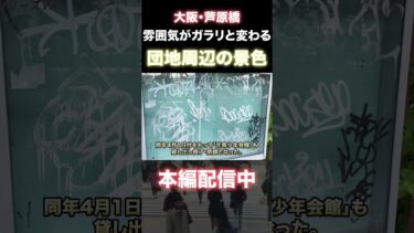 高齢者と移民が押し寄せる団地の末路【芦原橋】#Shorts