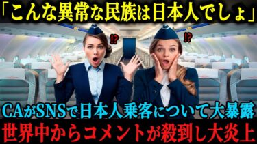 【海外の反応】「日本人乗客の行動は異常よ」アメリカ航空会社のCAが日本人乗客の行動を暴露、たった1日で1000万再生され世界中から「ありえない」とコメントが殺到した理由