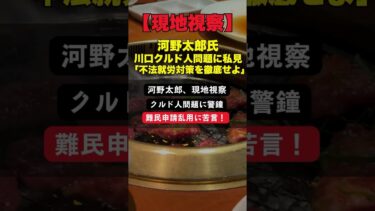 【現地視察】河野太郎氏が川口クルド人問題に私見「不法就労対策を徹底せよ」 #河野太郎 #クルド人問題 #移民政策 #難民認定 #川口市 #外国人問題