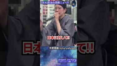 【危険】移民問題に対して!!甘い考えを持ってはいけない！！！平野雨龍