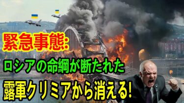 【ウクライナ戦況】最新ニュース 2025年5月11日