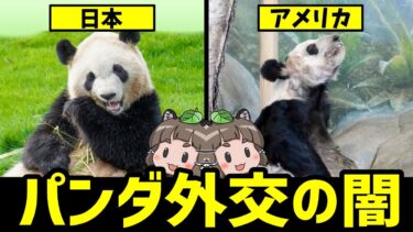 【格差】パンダ外交の闇…日本とアメリカでなぜ差があるのか？