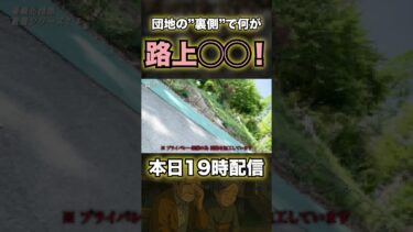 鴻池団地に広がる移民の現実 #shorts