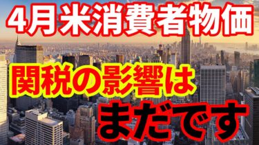 【米国経済】4月の米消費者物価指数！関税の影響など解説！