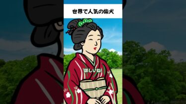 世界で人気の柴犬　 #vtuber #日本 #海外の反応