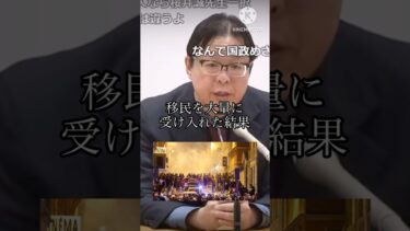 【桜井誠】移民を大量に入れた欧州で何が起きているか!!#日本 #政治 #桜井誠 #都知事選 #shorts #piano #video