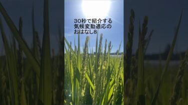 30秒で紹介する気候変動適応のおはなし８（おおさか気候変動適応センターが行く！）
