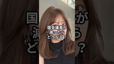 国会議員が減ったらどうなる？#日本 #海外の反応 #雑学