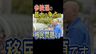 参院選の最大の争点は移民問題です #民泊 #森林伐採