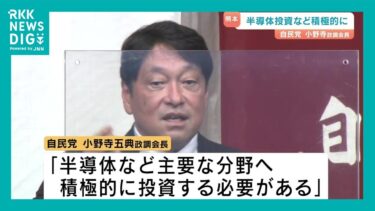 自民党 小野寺政調会長が講演「半導体投資を積極的に」　熊本