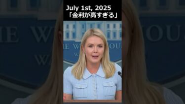 レビット報道官「唯一の問題は高すぎる金利」#トランプ #パウエル #米金利 #利下げ #frb #fed #米経済 #米株