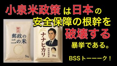 小泉米政策は日本の安全保障の根幹を破壊する暴挙である。