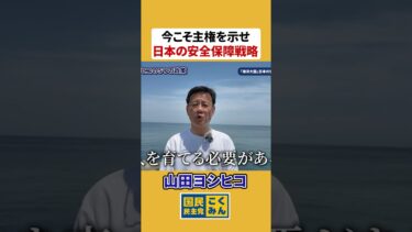 【政策切り抜き】『海洋大国』日本の安全保障戦略 #shorts #山田吉彦 #山田ヨシヒコ #国民民主党 #参議院比例区第5総支部長