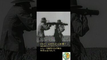 【解説】人類が「飛べない鳥」に敗北した戦争を知っていますか？