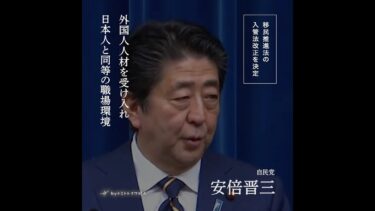 【移民政策推進の自民党安倍晋三】と【移民政策反対のれいわ新選組山本太郎】国会中継/牛歩戦術/入管法改正