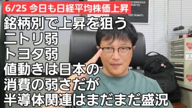 6/25【株式投資参謀本部】半導体関連に押されて日経平均株価上昇！各銘柄別で勝負し株価所有恐れず進もう