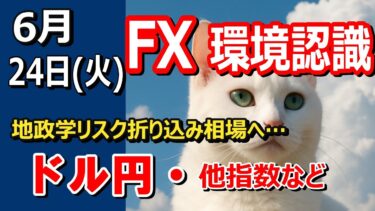 【TAKA FX】地政学リスク折り込み相場突入？　ドル円他各通貨の環境認識解説。各種指数、GOLDなど　6月24日(火)
