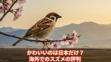 かわいいのは日本だけ？海外でのスズメの評判 　【動物のキモチ】
