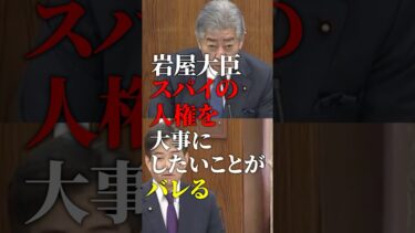 【岩屋毅｜媚中議員】スパイへの人権配慮｜スパイ防止法【日本維新の会｜柳ケ瀬裕文】日本人ファースト｜一律給付金 #shorts
