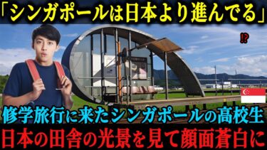【海外の反応】「日本なんて観光だけの後進国だよ」シンガポールの高校生が修学旅行で来日、自国に比べデジタル化で遅れをとる日本を馬鹿にするも田舎のある光景を見て顔面蒼白に