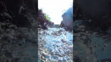 人間の活動によって地球温暖化は進んでいます。