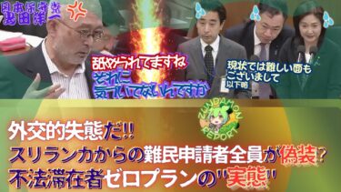 日本の移民政策の致命的欠陥を暴露‼不法滞在者ゼロプランの実態！