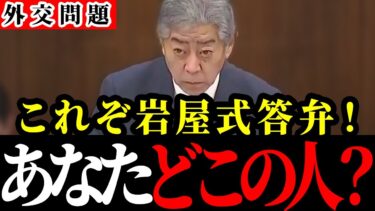【岩屋毅】世界で一番“やさしい”外務大臣。日本政府の忖度外交の闇がヤバいです…【岩屋外務大臣/台湾有事/国会中継】