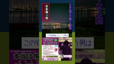 【★移民政策反対チラシ版4】日本第一党　本多かおり　無関心で危機感の無い日本人だけが知らない。このままでは日本は消えて無くなる。#移民政策反対 #日本第一主義