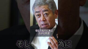 なぜ抗議しない？岩屋外相の沈黙が招く日本の国際的信用失墜の危機