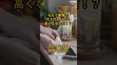 【社会常識】ウクライナ戦争と日本の物価の関係を説明するのだ！【受験の知識にも】