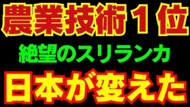 【衝撃】 農業技術世界1位の日本の実力！ 絶望のスリランカを緑の土地に変えた　#海外の反応 #japan #国際情勢 #ニュース