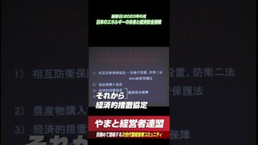 日本のエネルギーの未来と経済安全保障 #やまと経営者連盟 #shorts #矢作直樹 #歴史 #政治 #日本