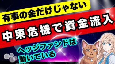 【中東紛争】地政学リスクを好機に変える！今注目の日本株と投資戦略３選#株式投資 #資産運用 #セミリタイア