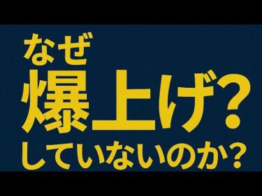 “世界の投資家が注目！3,300ドルの壁に隠された秘密とは？”