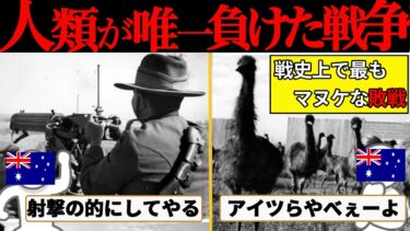 【ゆっくり解説】エミュー戦争とは何だったのか？オーストラリアの黒歴史