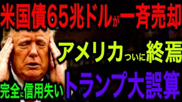 【暴落】アメリカが信用爆下がりで大混乱！トランプ関税による世界経済大崩壊が始まった【海外の反応】